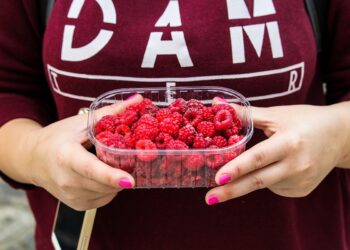 Hábitos de consumo obligan a cambios en empaque de alimentos