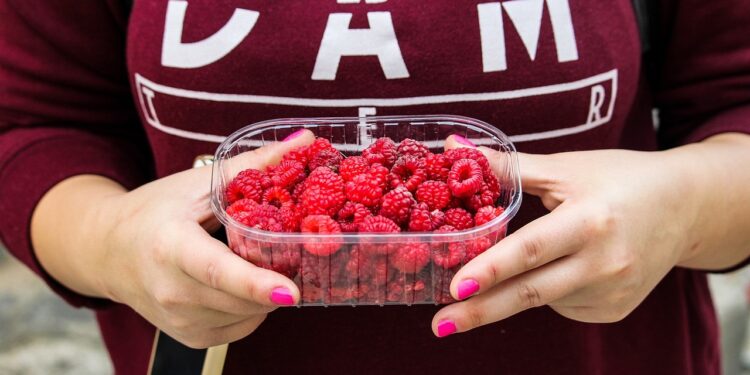 Hábitos de consumo obligan a cambios en empaque de alimentos