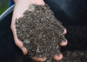 Bokashi, abono orgánico japonés impulsado en el mundo por un colombiano