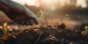 El mercado de semillas orgánicas avanza hacia la expansión