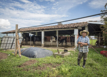 En el campo no hay desechos, sólo recursos: Sistema.bio
