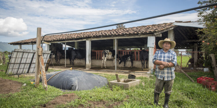 En el campo no hay desechos, sólo recursos: Sistema.bio