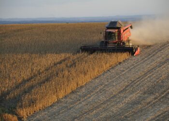 Rusia da por terminado acuerdo sobre cereales