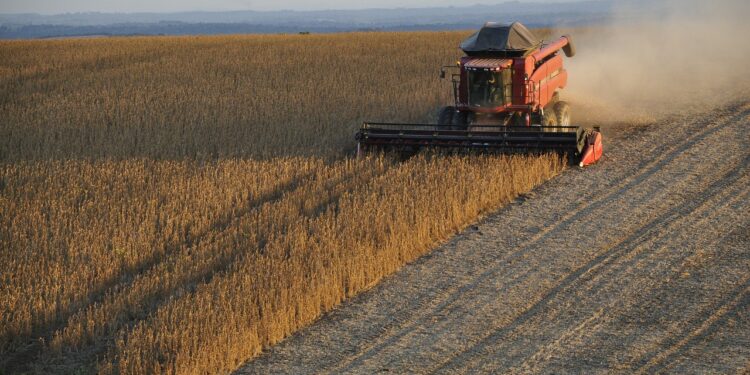 Rusia da por terminado acuerdo sobre cereales