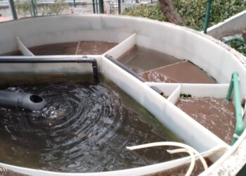 Tratamiento de aguas residuales: desechos que aportan valor al agro