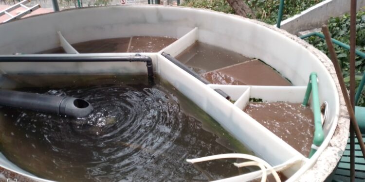 Tratamiento de aguas residuales: desechos que aportan valor al agro