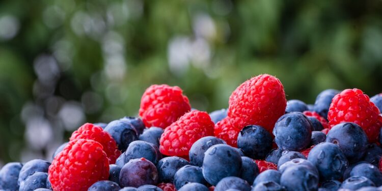 En EEUU, aumentan venta y volúmenes de productos orgánicos