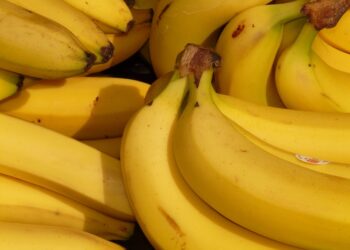 Productores peruanos exportan puré de plátano orgánico a Europa