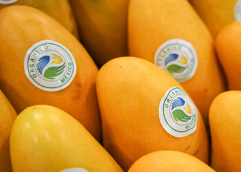 Publican convocatoria para organismos de certificación de orgánicos