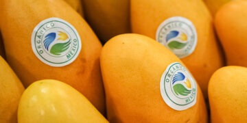 Publican convocatoria para organismos de certificación de orgánicos