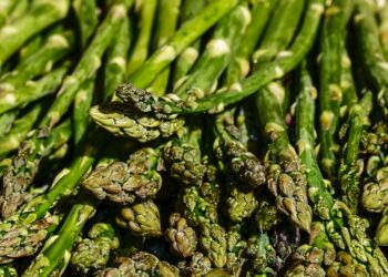 ResponsAbility invertirá 25 millones de dólares en producción orgánica