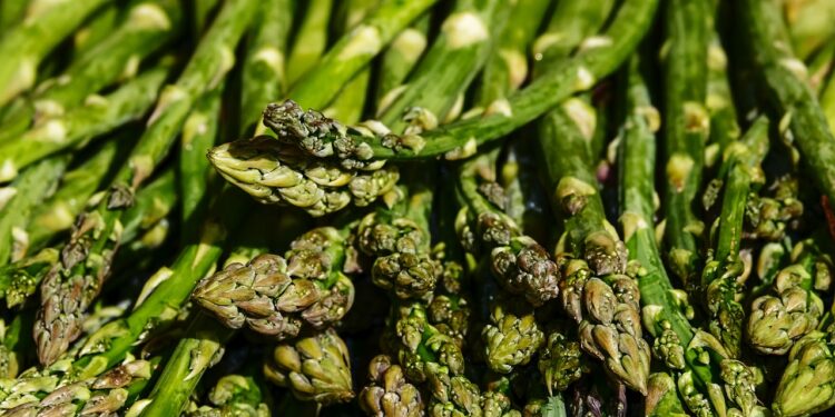 ResponsAbility invertirá 25 millones de dólares en producción orgánica