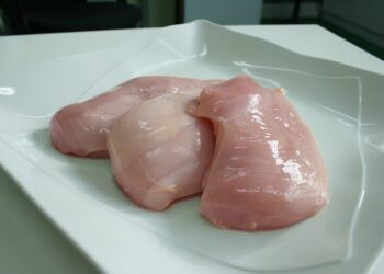 Anetif desarrolla un estándar de producción de pollo libre de antibióticos