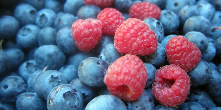 Confían productores de berries en un panorama positivo para el sector