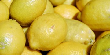 Argentina exportará cítricos orgánicos a la Unión Europea