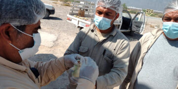 Autoridades piden a avicultores reforzar medidas de bioseguridad