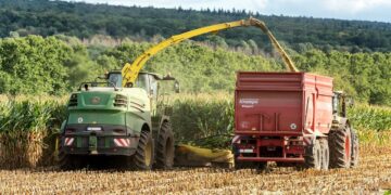 El USDA prevé rendimientos ligeramente menores para este año