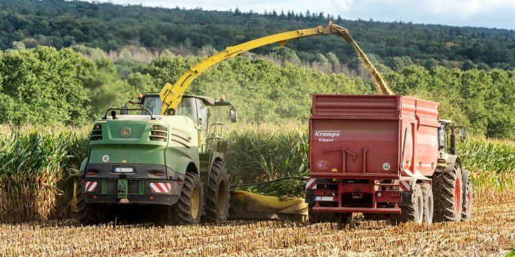 El USDA prevé rendimientos ligeramente menores para este año