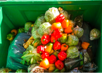 México desperdicia 37% de los alimentos que produce