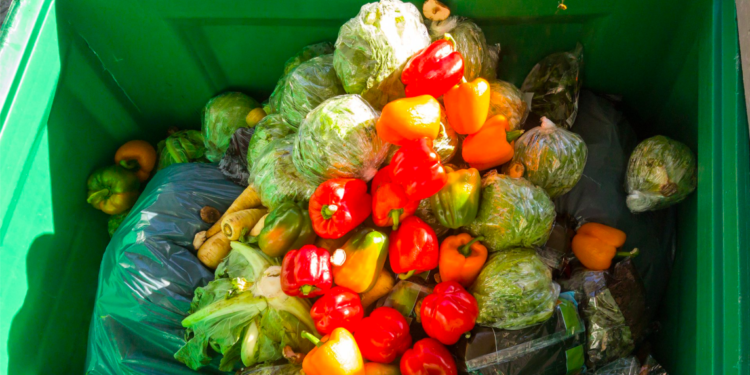 México desperdicia 37% de los alimentos que produce