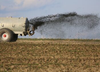 Científicos convierten residuos orgánicos en biocombustibles y biofertilizantes