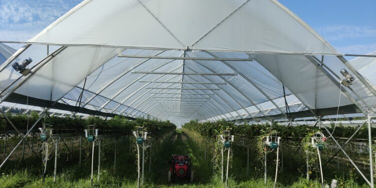 Científicos convierten residuos orgánicos en biocombustibles y biofertilizantes