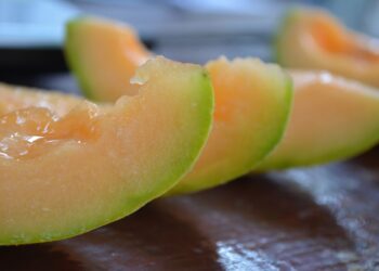 Micorrizas ¿el nuevo traje invisible del emperador?