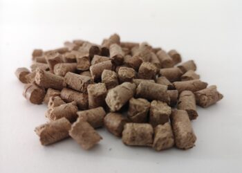 Innovation Hub for Healthy Food será la novedad de Macfrut 2024