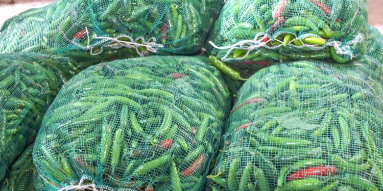 Residuos de la salmonicultura son materia prima para fertilizantes orgánicos