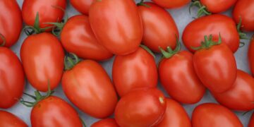 Innovation Hub for Healthy Food será la novedad de Macfrut 2024