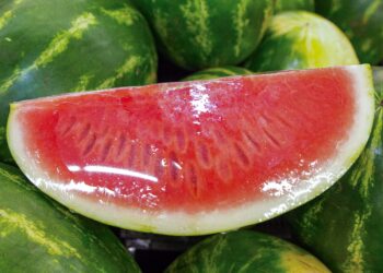 Poda tardía: ¿una alternativa de adaptación de la vinicultura al cambio climático?