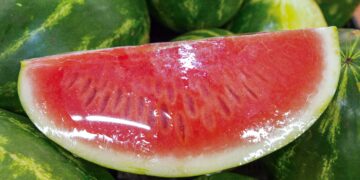 Poda tardía: ¿una alternativa de adaptación de la vinicultura al cambio climático?