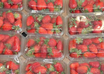 Un gel orgánico triplica vida de anaquel de la fruta a temperatura ambiente