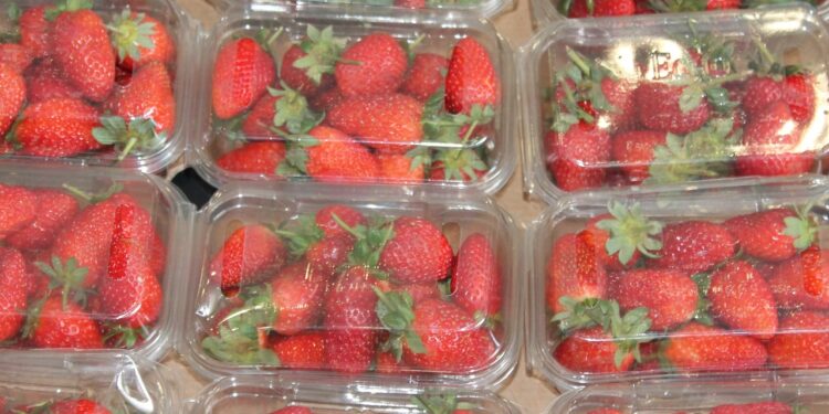 Un gel orgánico triplica vida de anaquel de la fruta a temperatura ambiente