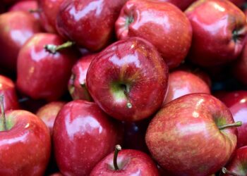 Un gel orgánico triplica vida de anaquel de la fruta a temperatura ambiente