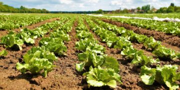 Alianza internacional impulsará la producción de biopesticidas en Cuba