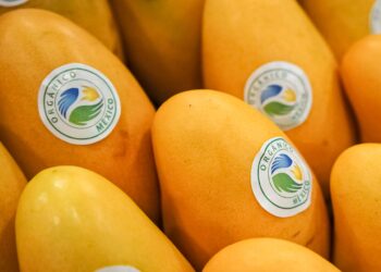 México y Canadá refrendan equivalencia en productos orgánicos