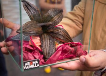 Productores de Oaxaca reciben módulos avícolas para producción orgánica