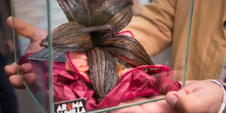 Productores de Oaxaca reciben módulos avícolas para producción orgánica