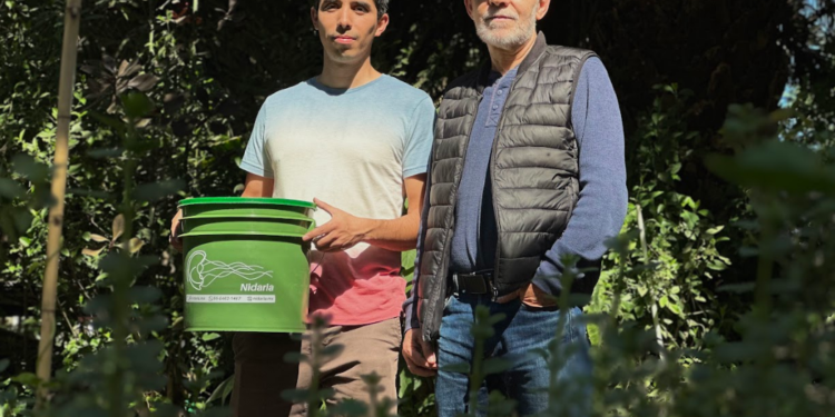 Senadores de EU piden frenar exportaciones de aguacate mexicano cultivado en terrenos deforestados