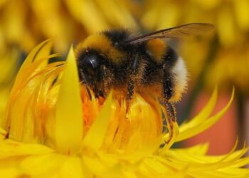 10 tendencias que marcan la innovación tecnológica agropecuaria