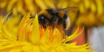 10 tendencias que marcan la innovación tecnológica agropecuaria