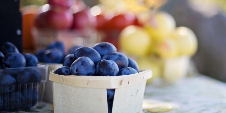 El legado de Francisco Petrus VanderHoff, pionero de la agricultura orgánica y comercio justo en México