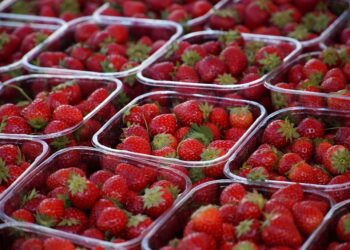 Frutas y verduras con químicos tóxicos en la UE se triplican en diez años