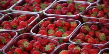 Frutas y verduras con químicos tóxicos en la UE se triplican en diez años