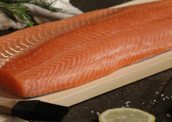 Precios de futuros del cacao baten récord y alcanzan 11,000 USD por tonelada