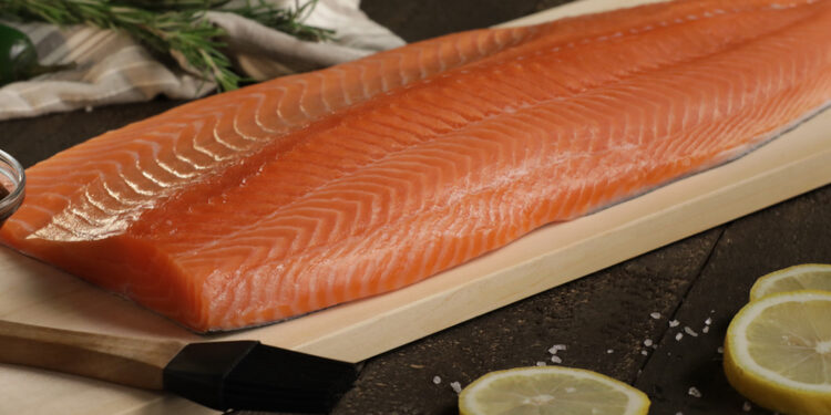 Precios de futuros del cacao baten récord y alcanzan 11,000 USD por tonelada