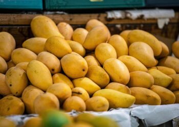 Además del aguacate, EU suspende inspecciones de mango en Michoacán