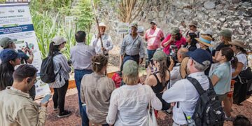 Alianza internacional busca producción sostenible de caña de azúcar