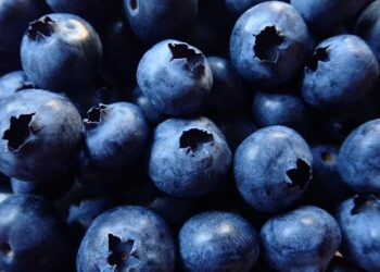 Más inversión estadounidense para arándanos orgánicos de Perú